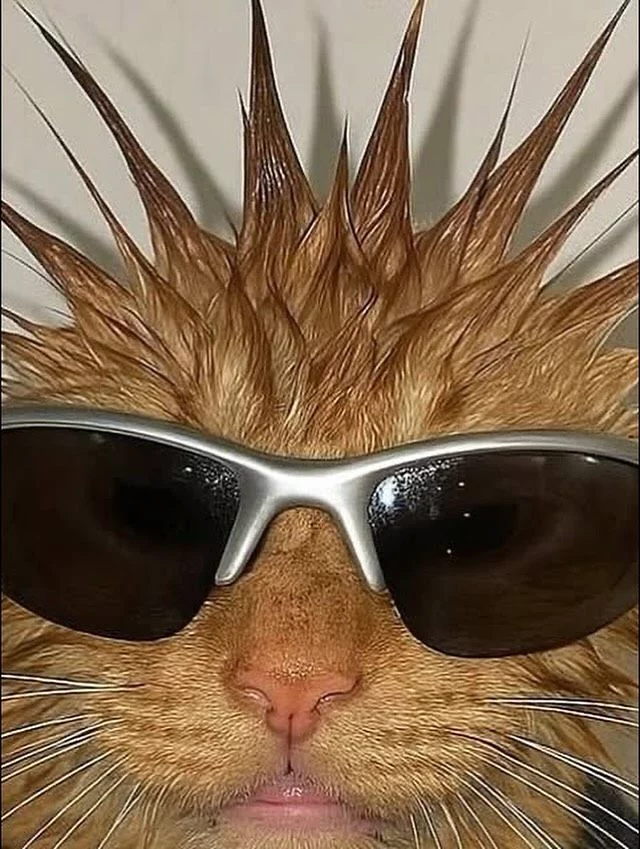 c4e